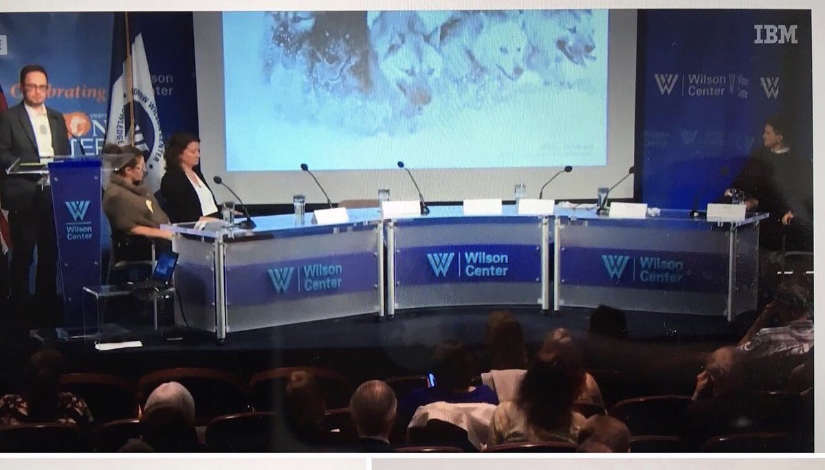 allanpeterolsen's tweet image. A pleasure to speak alongside the Greenland Research Council at @TheWilsonCenter’s #Greenland #US #research cooperation event yesterday. Great atmosphere + a clear wish to collaborate from both sides. Thank you @GreenlandRepDC - keep the conversation going
wilsoncenter.org/event/greenlan…