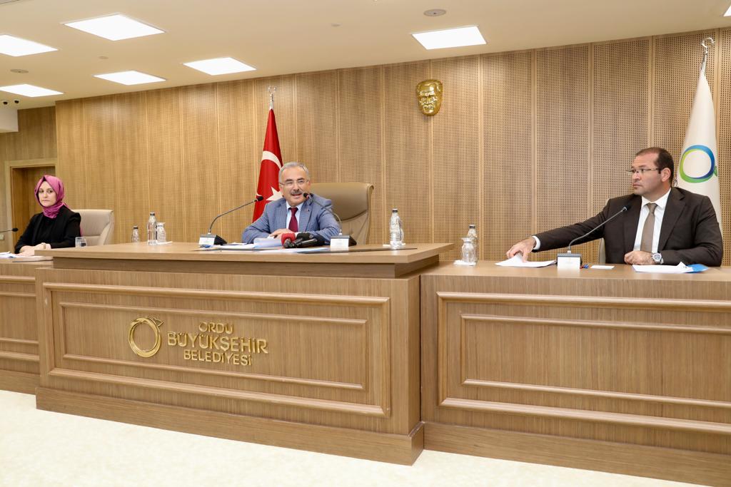 Mehmet Hilmi Güler