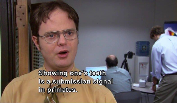 theofficetv tweet picture