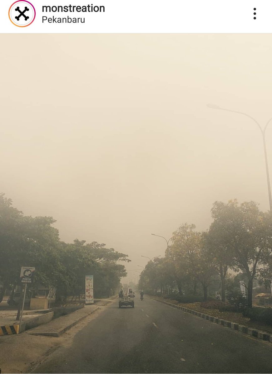 elvinaayanti's tweet photo. Hari ini katanya hari bunuh diri sedunia.. tapi, di sekitaran sumatera dan kalimantan beberapa bulan ini bisa dibilang bunuh diri berjamaah ga ya karena masih setia #MelawanAsap ditemani janji-janji akan disolusikan tapi ternyata #KamuBohong https://t.co/vStZR6TMBj