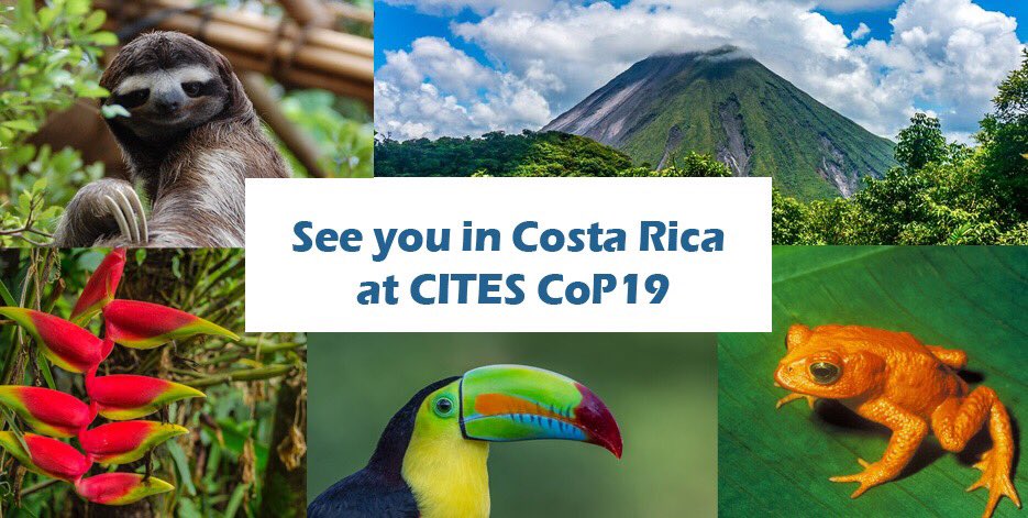See you in Costa Rica at #CITESCoP19