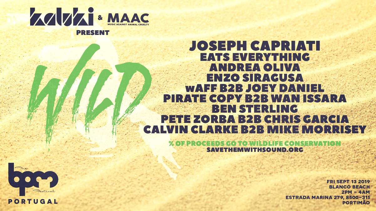 ARTDEPTMUSIC's tweet photo. @maacofficial X @KalukiMusik at this year's @TheBPMFestival Festival 🙏 Sadly I can't join this time around but please show your support for the cause. #savethemwithsound https://t.co/Yuw2iMcKC1