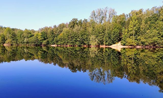 Visvijver de Rollen | nelloR ed revjivsiV ift.tt/2LrrfTf