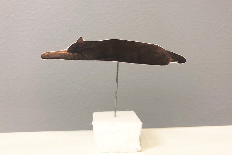 猫さんがクーラーに当たるときのポーズが気になったので 空気の流れをみる装置 を作って調べてみた たまに勉強になること呟くのやめろ Togetter 猫さんがクーラーに当たるときのポーズが気になったので 空気の流れをみる装置 を作って調べてみた たまに勉強になること呟くのやめろ Togetter