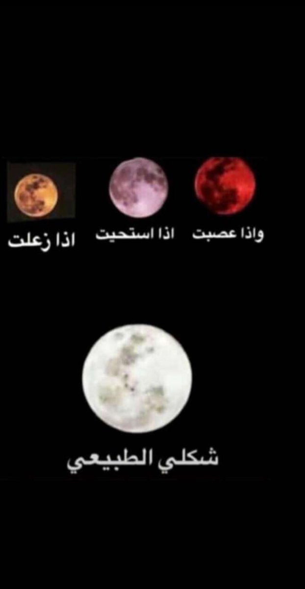 قاسم tweet media