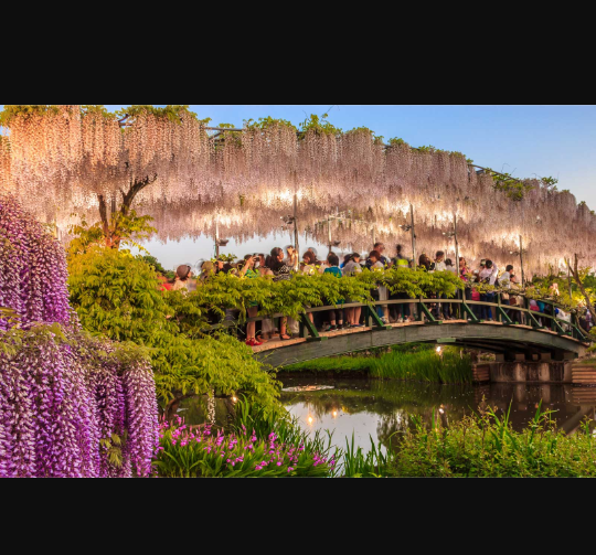 SupremeTravelZA's tweet photo. #Chooseday
I choose #japan
Known for
•Cherry blossoms
•Mount Fuji
•The land of sushi
•Samurais
#2019rwc
#SupremeTravel
#ASKUSHOW https://t.co/8q37FrW9wz