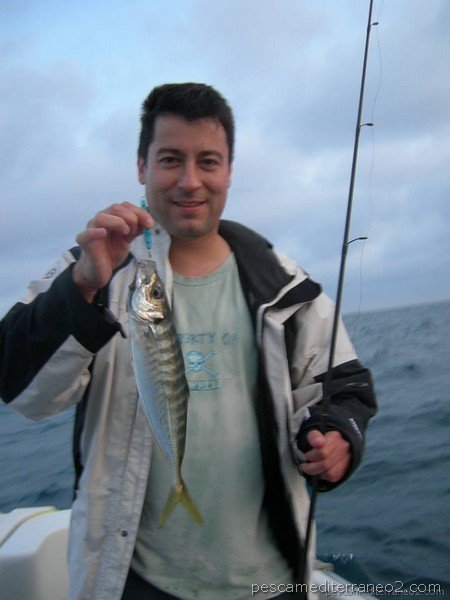 pescamed's tweet photo. ¡SÁCALE PARTIDO A LAS PAJARERAS! https://t.co/QLqw5C3TQE #pesca #pm2 https://t.co/edBZxL5YM6