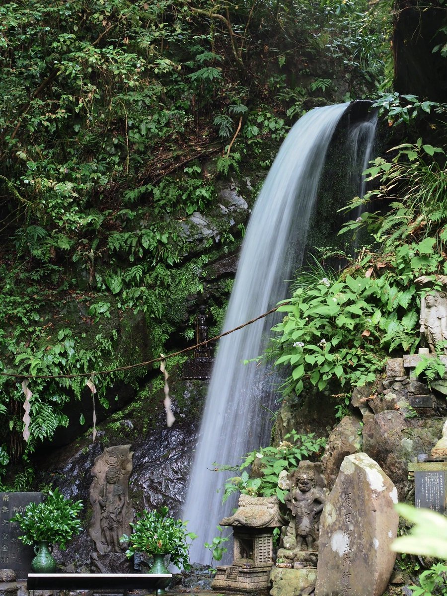 タオ Auf Twitter 高尾山から帰宅しましたぁ 少し雨に降られましたが 天気も良く 楽しい登山が出来ました 写真もいっぱい撮って 充実した１日でした 写真を撮るために歩き回って足がちょっとプルプルしそうでしたが 癒されたぁ また行きたい