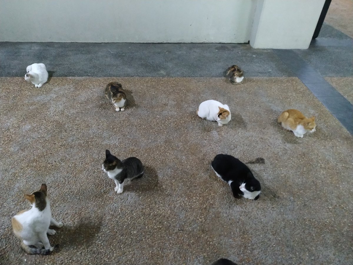 KathrinaLois's tweet photo. Parang may night class ng elem students.
#sitproperly https://t.co/ReSUoIftDF