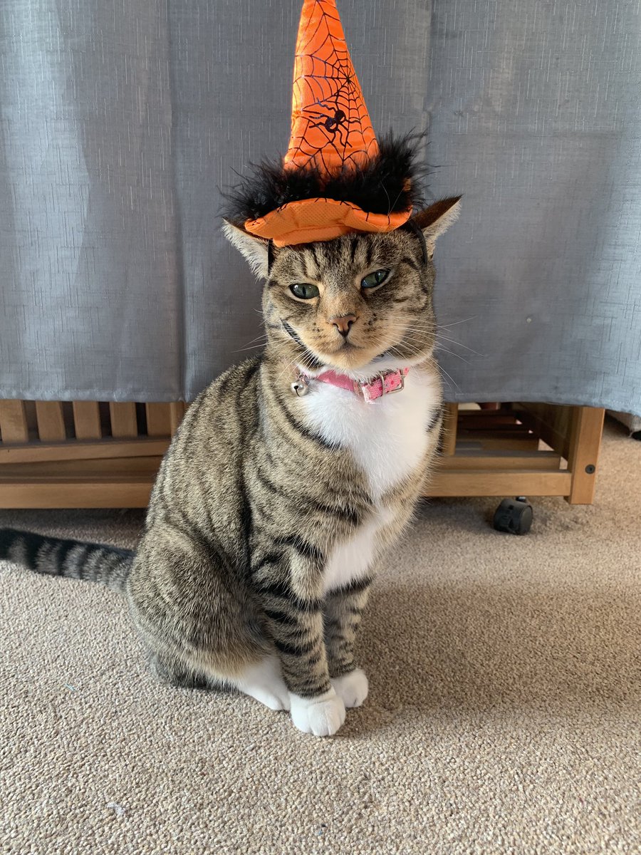 lucy glanville tweet media