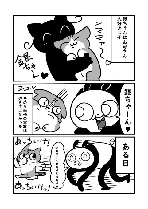 実家の猫銀ちゃん　銀ちゃんは分かりやすくママ大好きっ子で可愛い、ついでにこれ私はちゅちゅちゅ～❤って言ってるだけで何もしてない　#ぬら次郎日記 