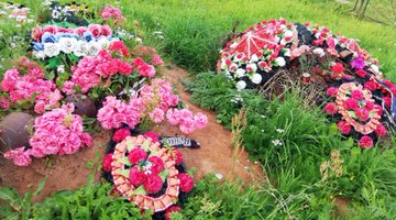 Народный музей в поселке Мины, посвященный подвигу советских солдат Народный музей в поселке Мины, посвященный подвигу советских солдат августа, корпуса, тысяч, рубеже, Лужском, корпус, сентября, немцы, войска, около, советские, смогли, прорваться, оборона, оборону, часть, стороны, человек, войны, только