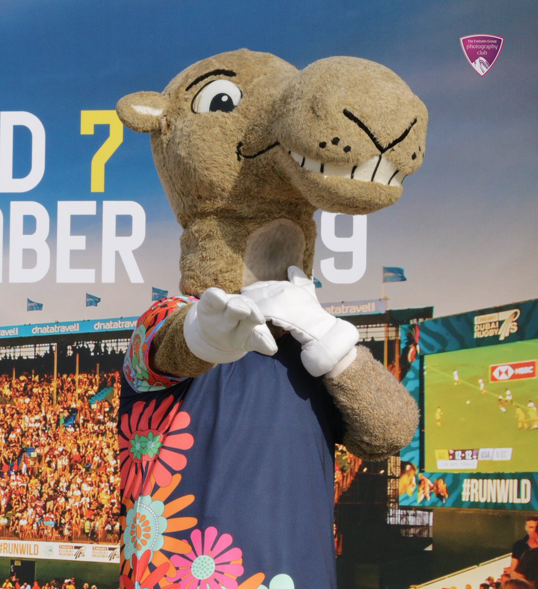 SevensStadium's tweet photo. Ice Breaker: Activation pictures - hopefully you checked out the kid's entertainment and met our mascots - including #Sabaa, heard the @Catboy92 roadshow, entered the @Dubai7s tickets competition, or escaped from the heat in #Sideliners!

📸 @clickEGPC  #SeasonStarter #45degrees https://t.co/qfhYoxJaDd