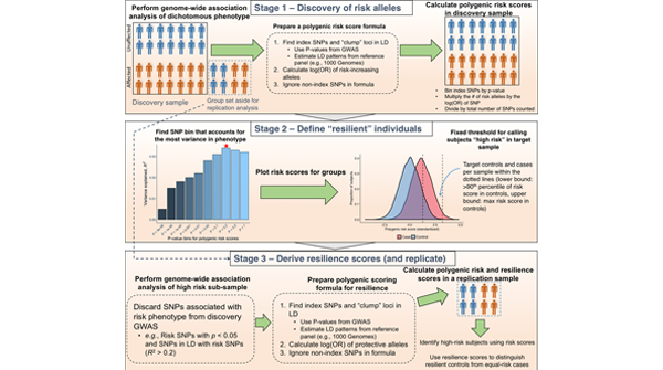 SIRSGlobal's tweet photo. 🔬A polygenic resilience score moderates the genetic risk for #Schizophrenia | New study by Hess et al (@PGCgenetics) compares high-risk controls, i.e., "resilient" controls to patients with similarly high polygenic risk scores. @MolPsychiatry: https://t.co/UWIW3BUNc5 https://t.co/wASz1Pw8AA