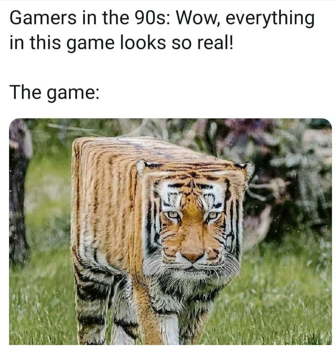 EEGWdpjXkAA6dhC?format=jpg&name=large