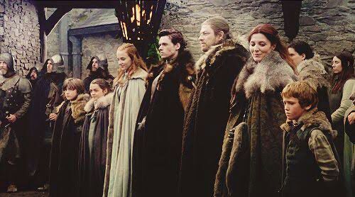 🐺🐺🐺🐺🐺🐺🐺🐺