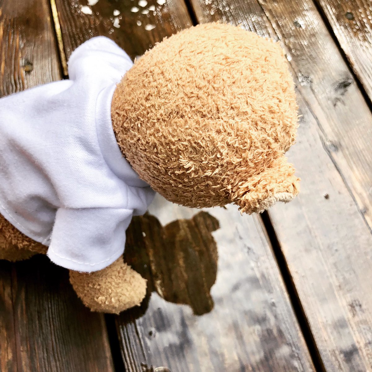 teddilyeveraft's tweet photo. What do you call a wet teddy bear? A Drizzly Bear!! 🐻 😜 ☔️ #waterpuns #TuesdayThoughts https://t.co/MYsdiY7SWC