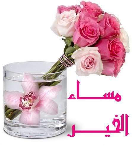 Mmk06906384's tweet photo. @Ss61940014 https://t.co/MN7JOtBUD2