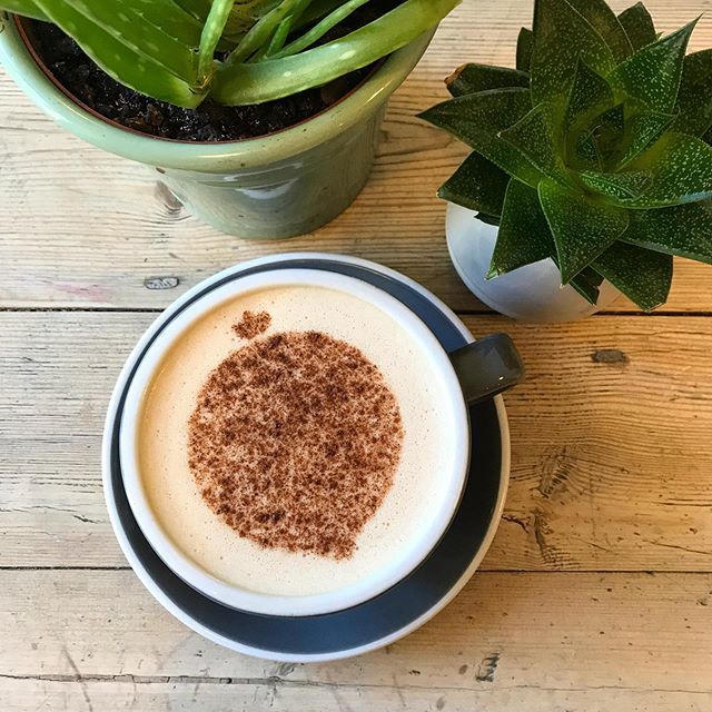 OffbeetRetreat's tweet photo. One of our favourite hot drinks on a crisp September morning is our @birdandblendtea gingerbread chai tea steamed into a latte! ☕️🌱 #vegan #chailatte #latte #latteart #offbeet #offbeetwicham #drinkoftheday #chai #tea #plants #oatmilk #cinnamon #hotdr… https://t.co/Ec40dJ33yG https://t.co/3E8SEajMmR