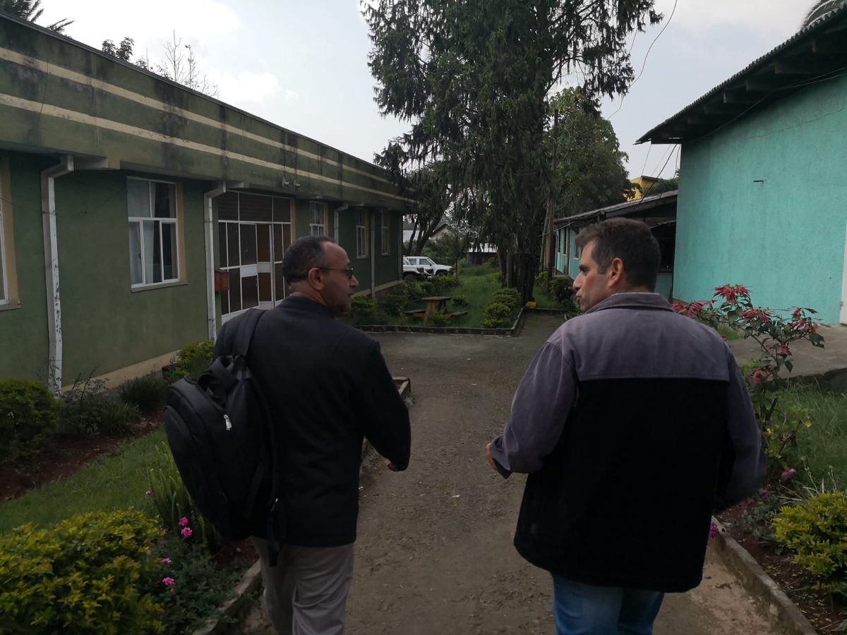 Durante estos días, personal de <a href="/MicologiaIuFOR/">Micología Aplicada</a> de  <a href="/UVaPalencia/">UVa Campus de Palencia</a>  e <a href="/IDForest/">IDForest</a> estarán en #Etiopía impartiendo cursos de #formación en #micología a científicos, gestores y población rural.