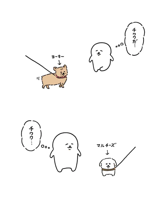 小型犬を見たときに思うこと 