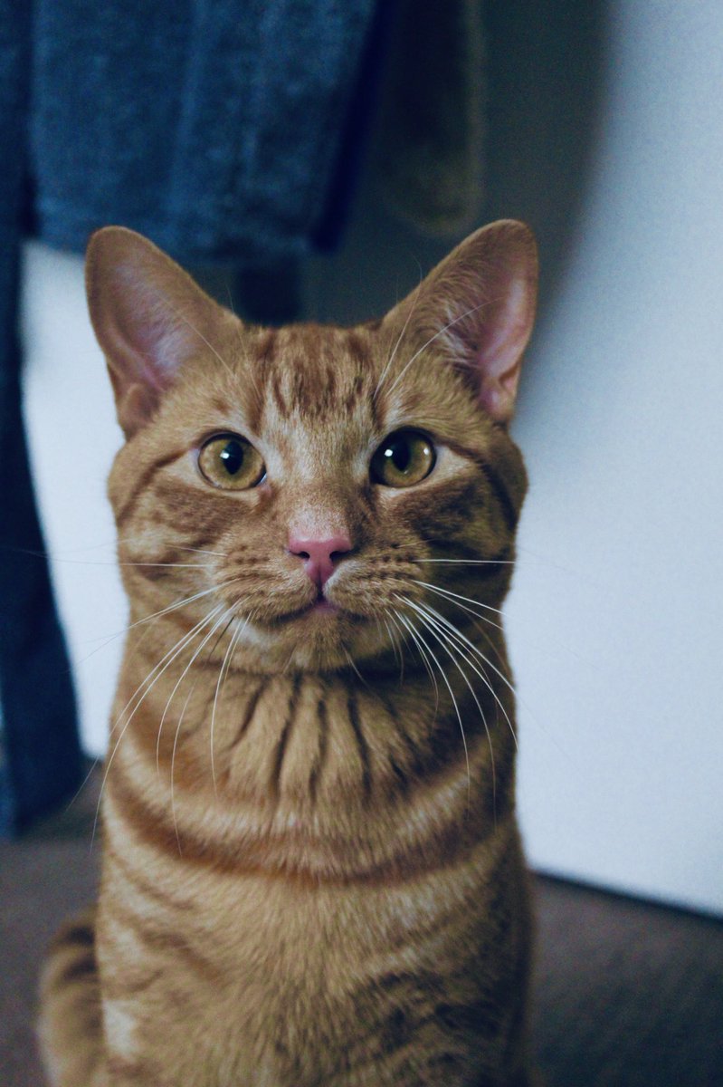 MeganMursWainwrigh💕 tweet media