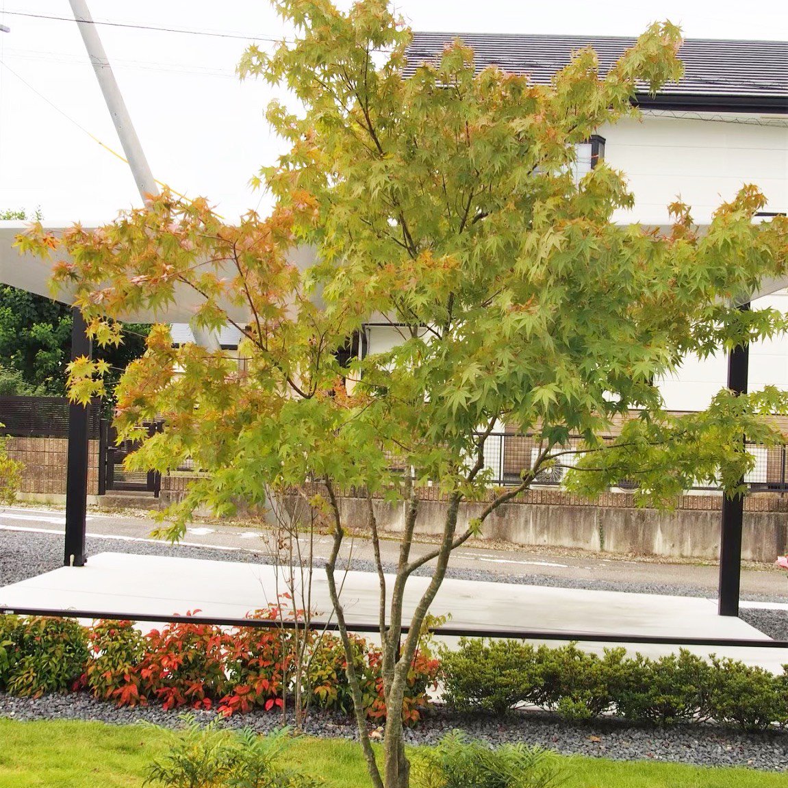 Home Logogala Recent Activity Ecm Fqde Zp Ybcjn Ofm Oo Hg Kocq Fx Zwu Utyif Ysqs Ovyp Tu Esuwb Oeb Ar Ywv Zhmv Fse Rlw Jvw Tgffj Pi Xsvuk Ybshd Tu Tkoum Fczf Mtfh Zanz Zvp Fi Udtjk Nmd Mqava Rv Lgmq Vwvf Ji Xv Ez Juqvv Dq Es Hs Kru