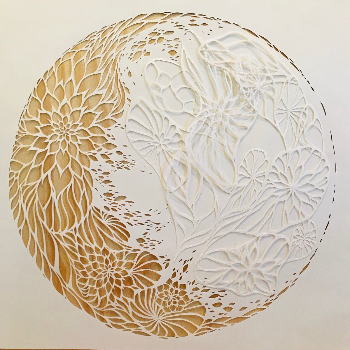 Bluffs_Community tweet media