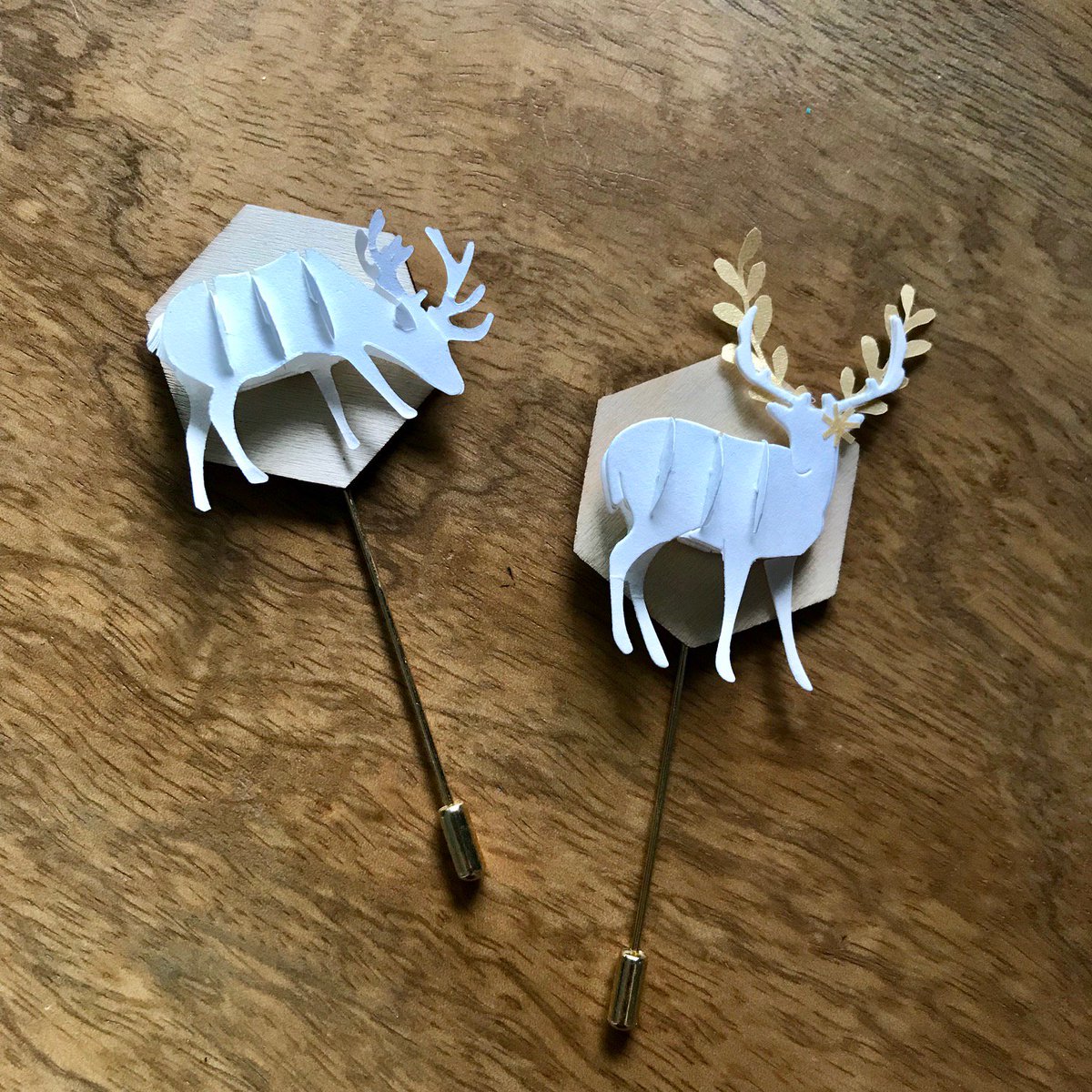 Bluffs_Community tweet media