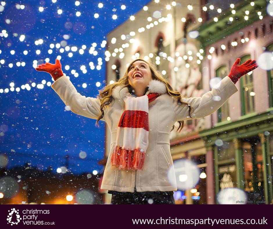 if you’re looking out on throwing a huge party for your employees and colleagues book yourself a private Christmas party venue. Contact us now to save yourself from last moment rush!
christmaspartyvenues.co.uk