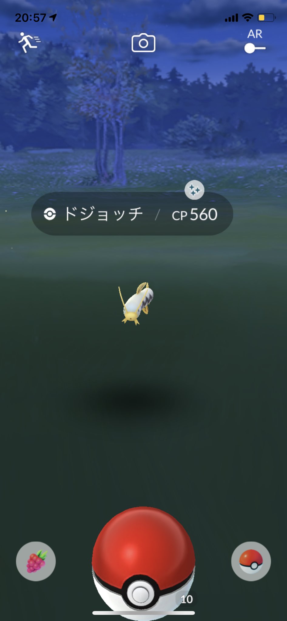 あっきー ポケモンgo 今日凄すぎ あんなに出なかった 色違いドジョッチも 出てきた ﾟdﾟ ポケモンgo 色違いフィーバー T Co Pppx6fbsty Twitter