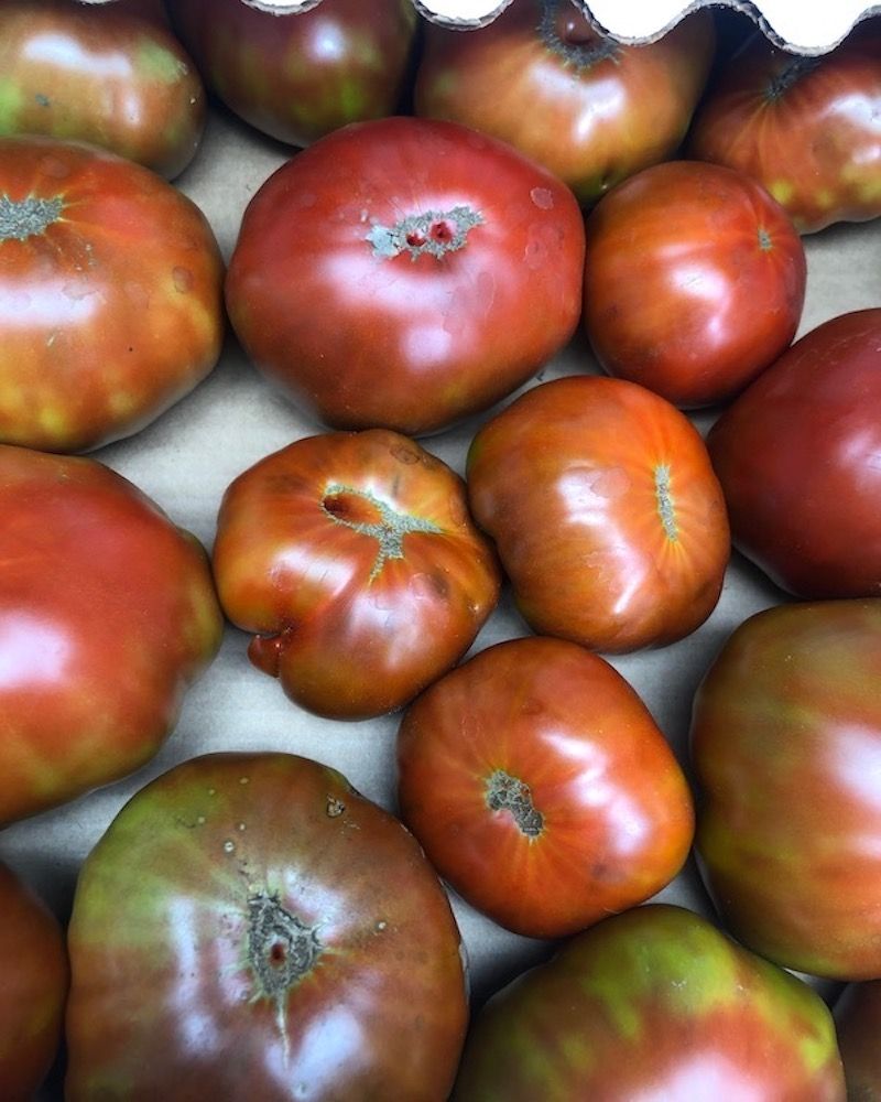 CropShopMarket's tweet photo. Unique Paul Robeson Heirloom Tomatoes from Red Fire Farm in Montague, MA. Named after the inspirational athlete, lawyer, musician, actor, and civil rights activist. They carry as much sweet and smoky flavors as Paul Robeson had careers. #bostonchefs #MAfarming #eatlocal https://t.co/lG4P0yPN6i