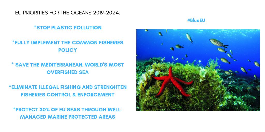 OceanaEurope's tweet photo. Congratulations to @VSinkevicius for a nomination as the new Eu Commissioner for #Environment & #Oceans. Great opportunities & challenges ahead in delivering #sustainability & making #BlueEU. Thanks to @KarmenuVella for his EU leadership in ocean protection in the last 5 years. https://t.co/UPLWboUXIw