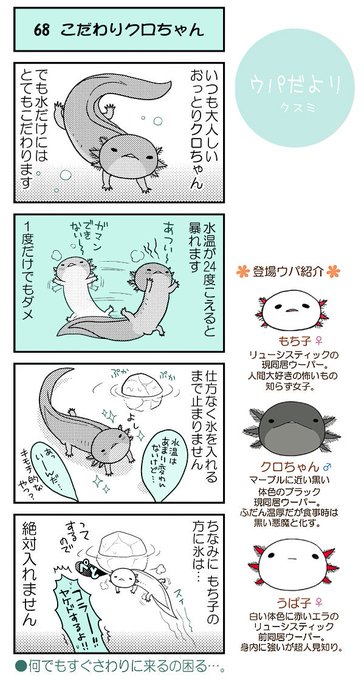 うぱ子だより を含むマンガ一覧 いいね順 6ページ ツイコミ 仮