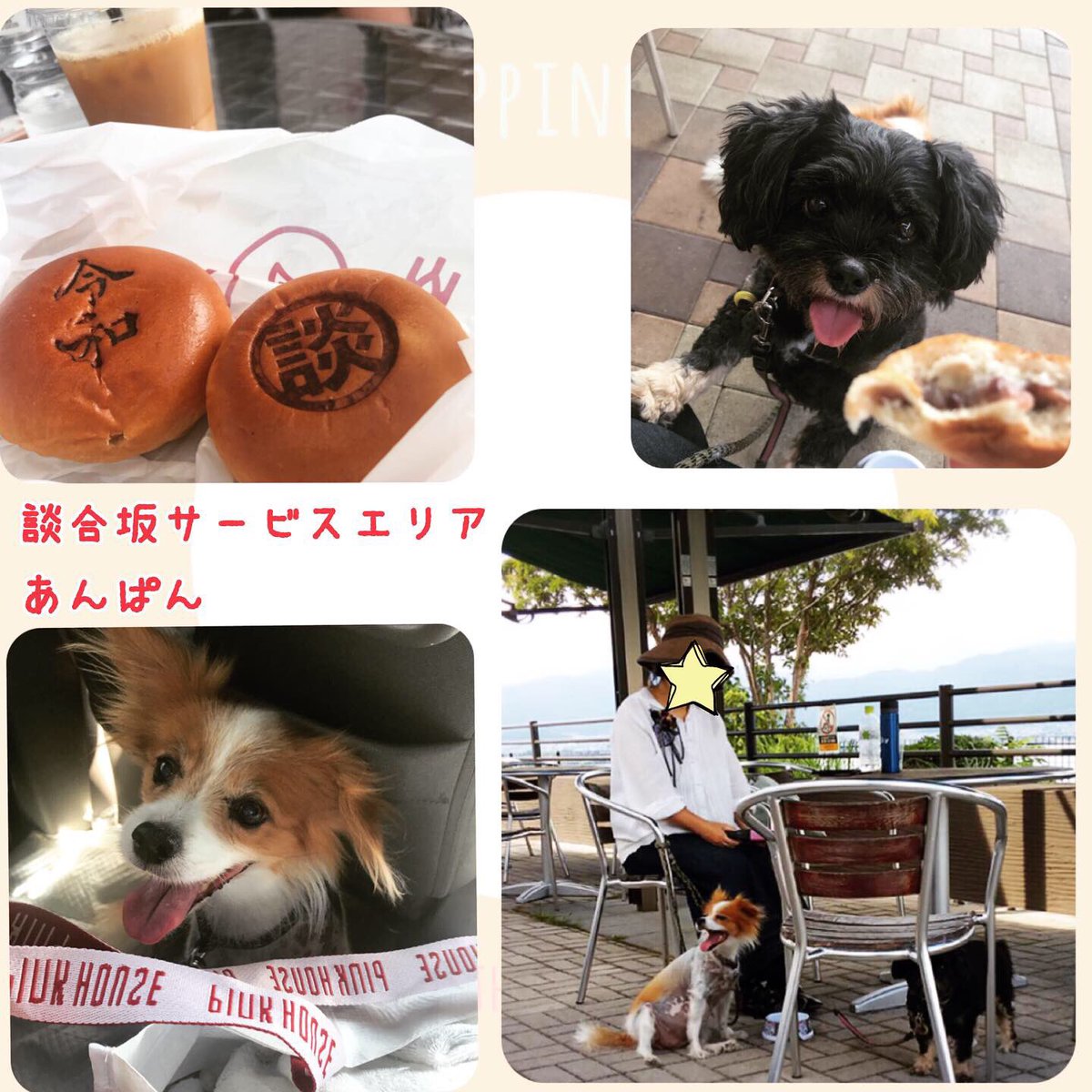 談合坂あんぱん 談合坂あんぱん