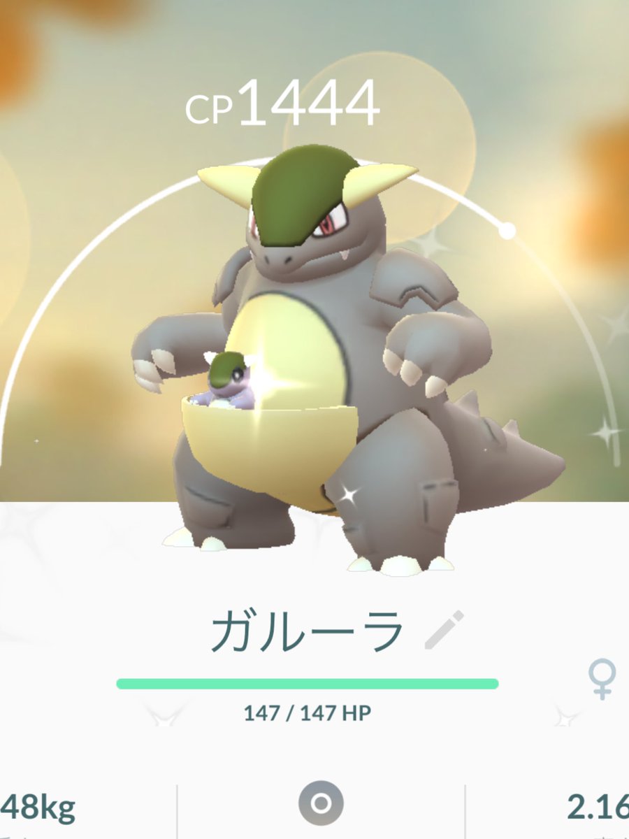 色違いガルーラ Twitter Search