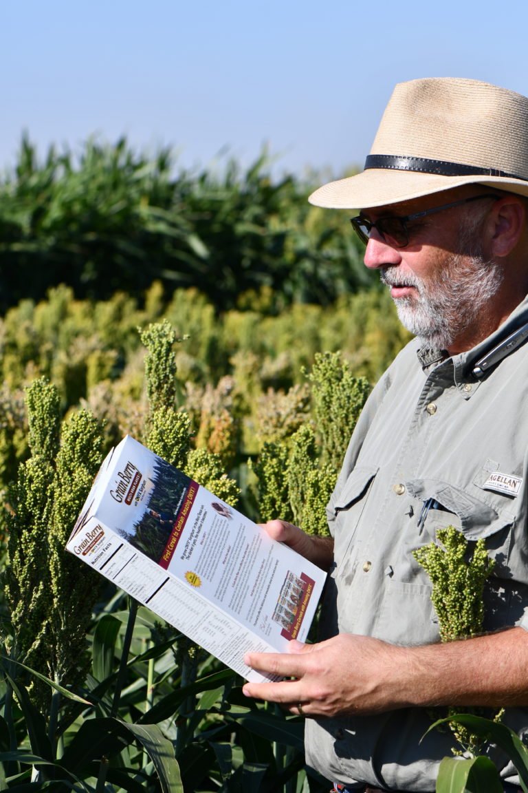 Texas A&amp;M-developed grain sorghum makes the grocery shelf in a cereal box. #grainsorghum #cereal <a href="/SorghumBrent/">Brent Bean</a> <a href="/TexasSorghum/">Texas Sorghum</a>