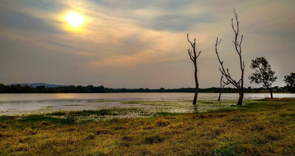 MasthMysore's tweet photo. A beautiful sunset at #VarunaLake.
PC: bhuvan_rai_
#Sunsets #SunsetsInMysuru #SunsetAtVarunaLake #SunsetPhotography #SunsetsInMysore #MasthMysore #Mysuru #Mysore https://t.co/0mk4muTOKi