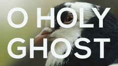 O Holy Ghost Teatro Dell Asino