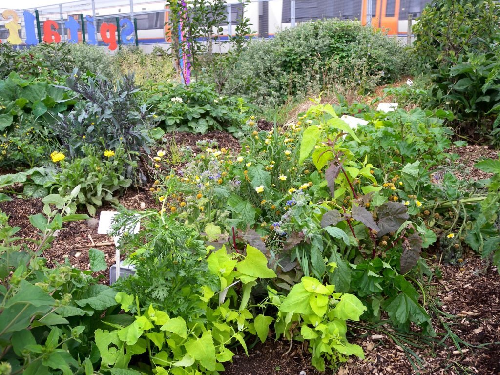 notequaltech's tweet photo. .@saralara_heit discussing Co-designing a Sustainable Food Justice System with #Blockchain Futures.
Can we use new #algorithmic infrastructuresβ―in order to create more sustainable and just food systems?β―β―
#notequaltech https://t.co/ttpDiUm9GY