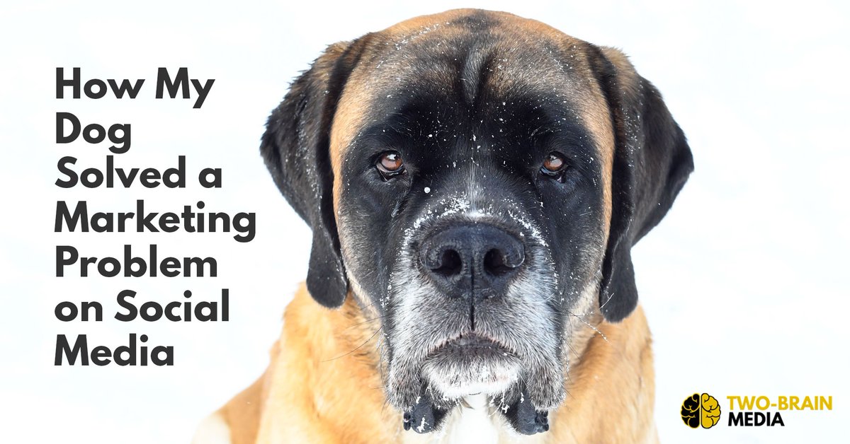 2brainbusiness's tweet photo. If you can solve a problem, you can make a sale—even on social media.
Sometimes by accident. For someone else.
But in the process, you can learn how to use social media even more effectively.
Here’s what happened to @crossfit204's dog.
https://t.co/IQAZMiXtro https://t.co/160vCzS0gC