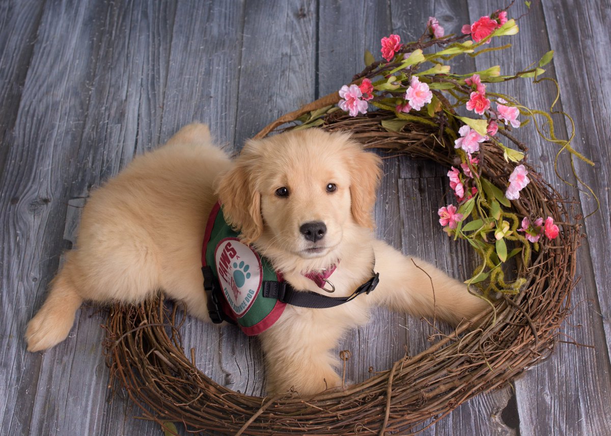 Thank you @donorguru for your support of PAWS! Sending you tail wags and puppy kisses!