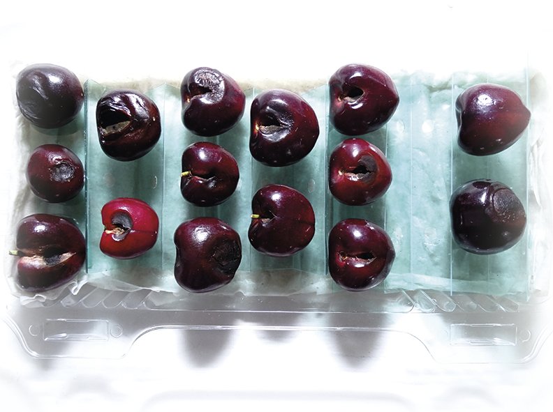 redagricola's tweet photo. La pudrición negra es una enfermedad del fruto de cerezo que provoca pérdidas que van del 4-5%, hasta casos conocidos en que se ha afectado hasta el 40% de la fruta en el huerto. https://t.co/pdOZH3bZzJ Vea en nuestro #especialdecerezos @diagnofruit https://t.co/MeDpIZsLyN