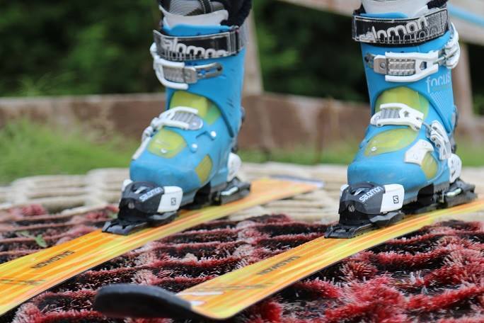 FamilyTravel-Ellie tweet media