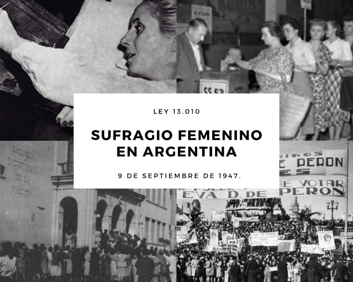 Insurrectas💚 tweet media