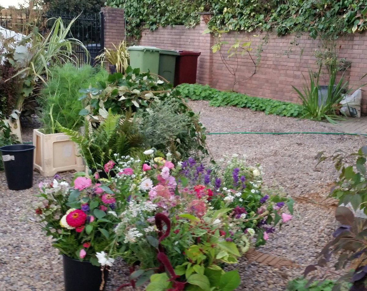 @margare28242062 Hi Margaret, yes home safe thanks and the #British #Derbyshire grown #flowers arrived safely with me too and still looking stunning ready for @jpmoseley to weave his floral magic @HarrogateFlower #Autumn show. #britishflowers #grownnotflown #gardengathered