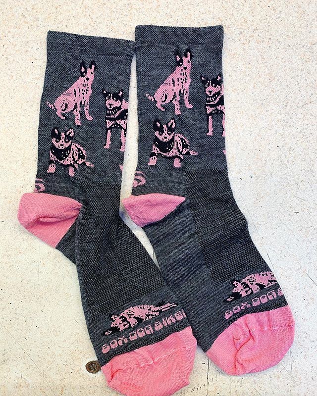 boxdogbikes tweet media