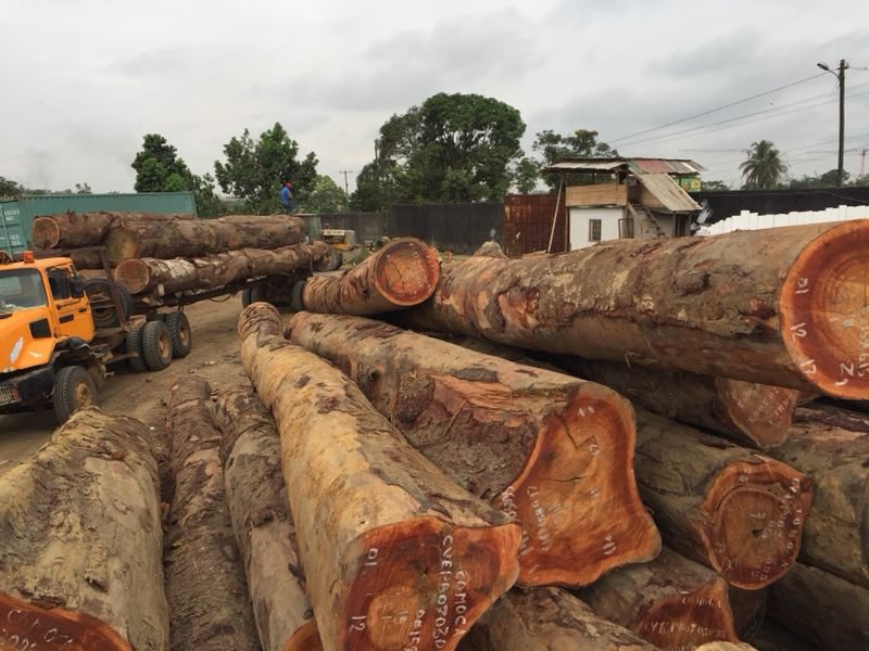 GreatCommGroup's tweet photo. #wood #logs #cameroon #import #export #investors #buyers #vietnam https://t.co/UqHdIQsw2t