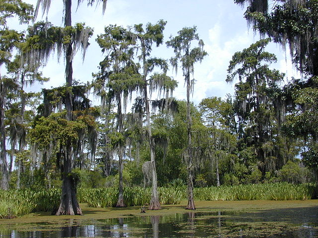 New on <a href="/ActiveLPs/">Active LPs</a> Louisiana Teachers commits $100 mln to KPS fund dlvr.it/RCrHl7