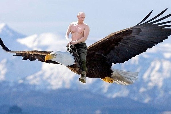 BigTinyBird's tweet photo. @Sir_Bradford @reallyDonB @WatersOfMarch11 @Jennybing53 @Futbolfan4evr @taryngracia1 @Robertn800 @Janie42067855 @tmil8219 @HuluSharon @MDeedles @Annendil @johnnynort1 @thunderbella @El35536 @scottaeckert @BerningMan9377 @AnthonyHopeNYC @AndyOsborg @DeadCow11 @mickjpower @goWithGoley @GeorgeTheSparti @MadelaneStander @alyanne94 @1Natasja @dylan_rand @katherineOma @RayneMillaray @CajunBlueAZ1 @cblunt48 @AWorldOutOfMind @KenobiCheated @blasicus @pinata1138 @ca_mbam @MoniqueMeow @shannongailmc @BagdMilkSoWhat @Eathbound420 @2Suspension @TyMurphy19 @ilias_y @patterpat4 @TheHoney0ne @DavidThatGayGuy @MrsRabbitResist @BobA1959 @flyaway_k @CanuckCognizant Yeeeeeeesssssss!!!! The Make Annexation Great Again campaign is almost complete #Agent45. Standby for further instructions. Love-Vladdy https://t.co/UR5E4wYn7l